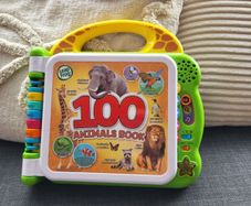 LeapFrog learning book