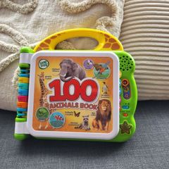 LeapFrog learning book