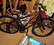 women's bikes