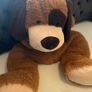 Large Teddy Image 2