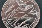2020 D United States Mint State Quarter Dollar Tall Grass Prairie