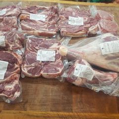lamb