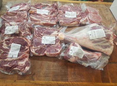 lamb