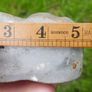 Vintage Mounted Huntsman Match Holder / Striker Image 6