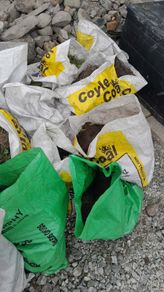 Soil