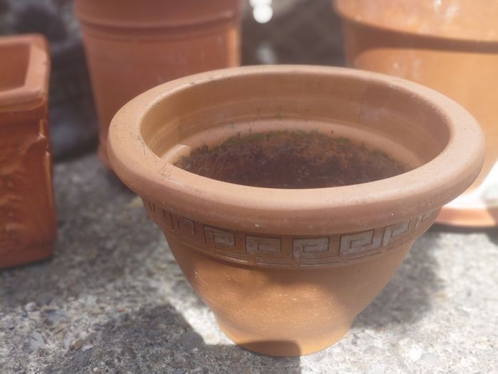garden pots