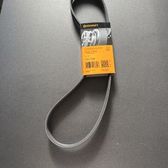 Vw Audi Seat Skoda serpentine/alternator belt