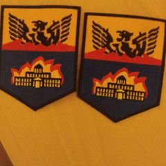 20th infantry battalion C company FCA Cathal brugha barricks patches