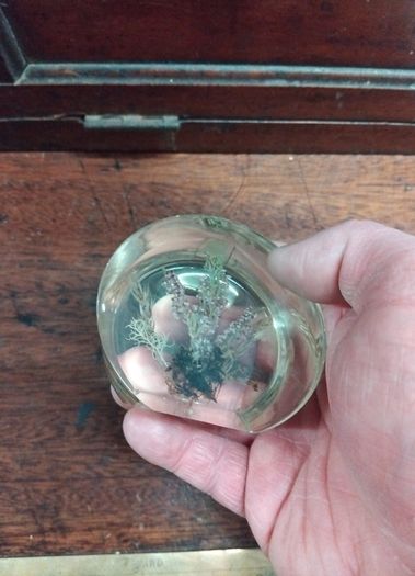 Vintage Irish paper weight
