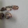 Copal amber Image 2