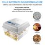 16 Eggs Incubator with Temperature Control Candler Image 4