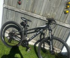 Carrera vengeance bike