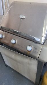Gas BBQ with canister