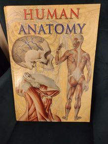 Human Anatomy book