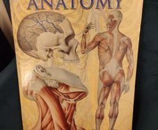 Human Anatomy book