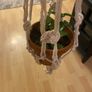 plant hange Image 3
