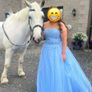 Blue Debs/ Prom dress Image 3