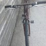 Adults Bike Image 4