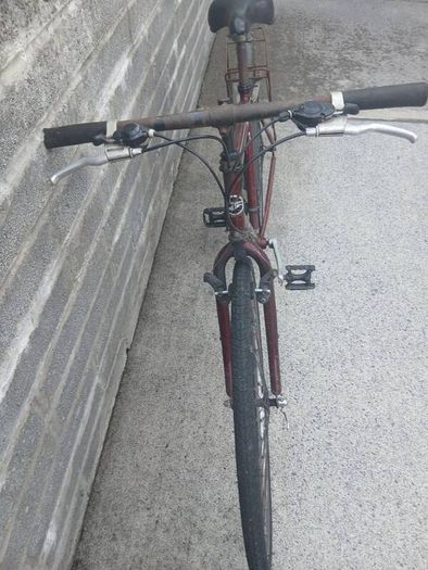 Adults Bike