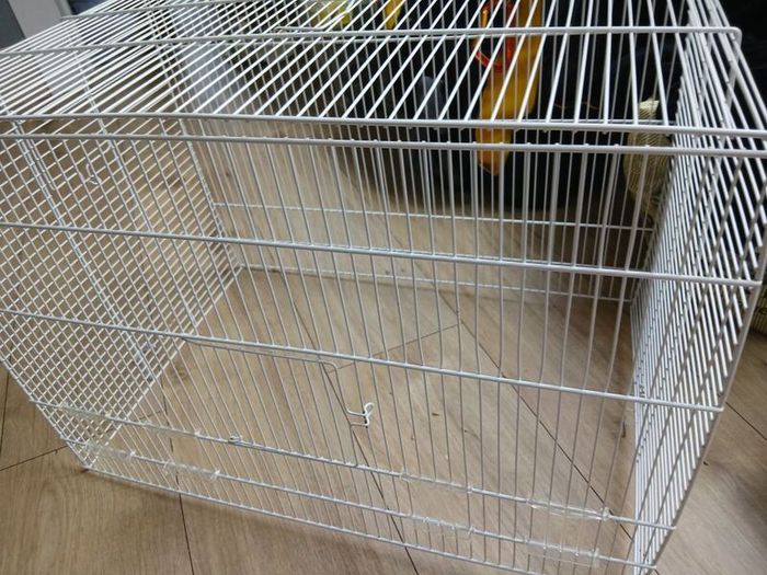 Birdcage