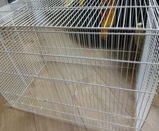 Birdcage