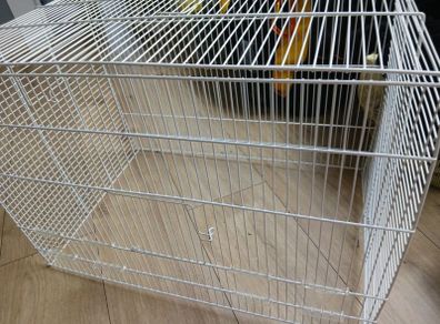 Birdcage
