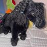 plush Image 2