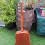 Cort 12 string Image 4