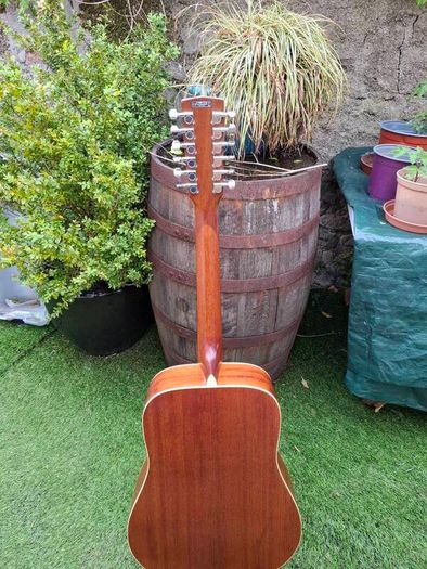 Cort 12 string