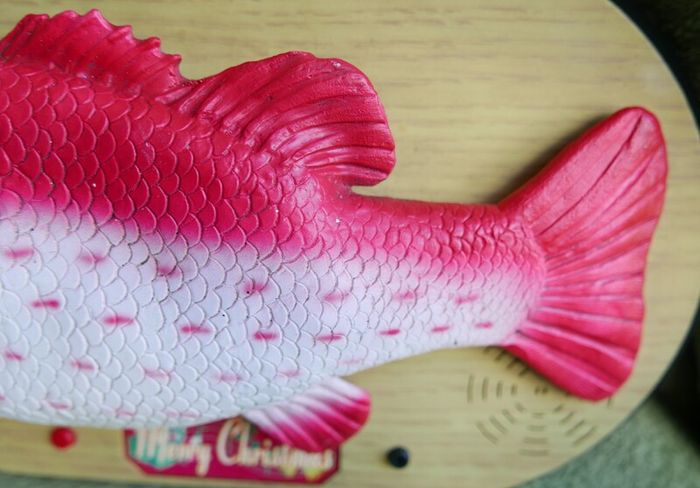Rock King Tommy the xmas singing fish