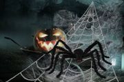 Spider Web Decorations,Giant Halloween Round Shape Triangle Spider Web and Realistic Scary Fake Large Hairy Spider Props Set for Outdoor Indoor Porch Party Decor (FREE SHIPPING)