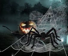 Spider Web Decorations,Giant Halloween Round Shape Triangle Spider Web and Realistic Scary Fake Large Hairy Spider Props Set for Outdoor Indoor Porch Party Decor (FREE SHIPPING)