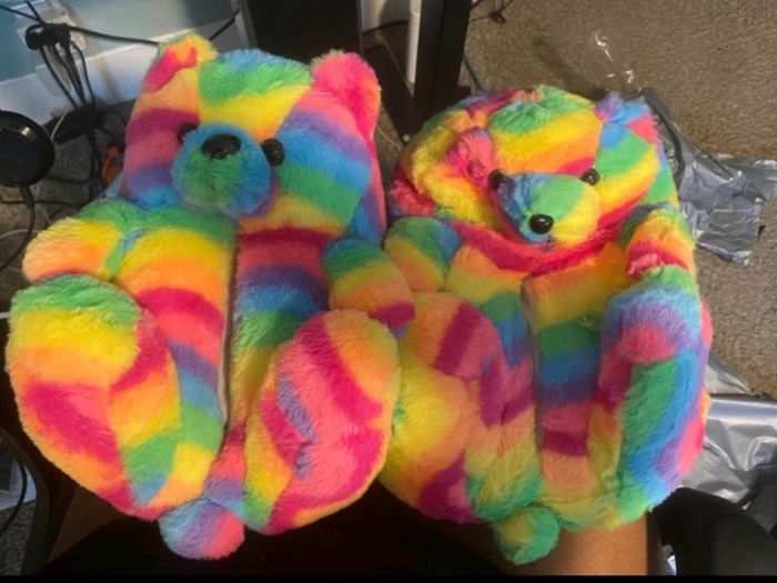 Rainbow Teddy Bear Slippers