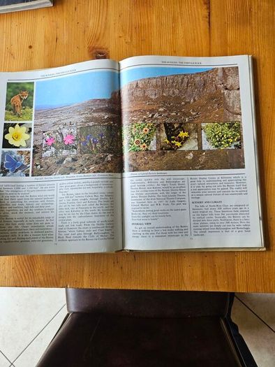 The Irish Wildlife Book. Edited By Fergus O'gorman. Illustrated By Gerrit Van Gelderen, Eamon De Buitlear And Richard Mills. First Edition Large Volume Hardback In Good Condition.
