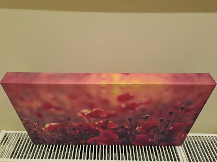 Picture of poppies canvas