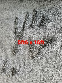 carpet 5ft6 x 16ft