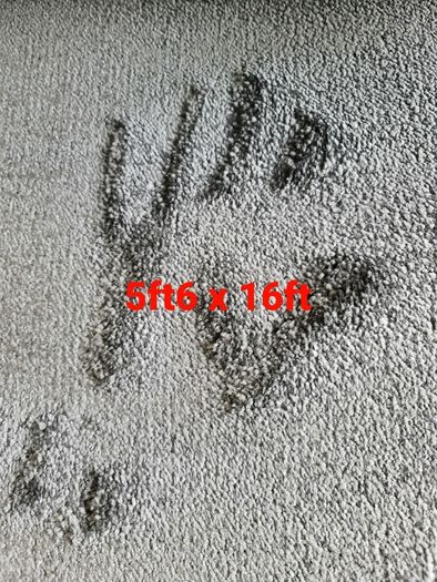 carpet 5ft6 x 16ft