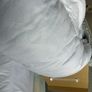 Single Microfibre Duvet 13.5 Tog Image 3