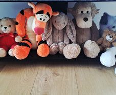 Teddy bears