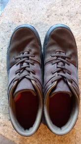 Hiking Shoes