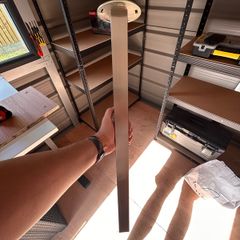 legs