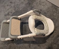 Baby training toilet seat with step