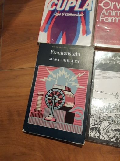 Novels for secondary school