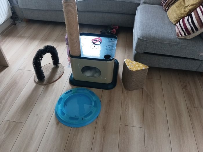 cat bundle