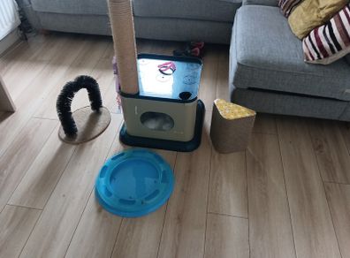cat bundle