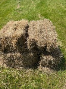 Small square hay bales