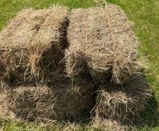 Small square hay bales