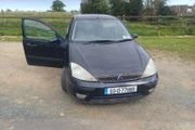 2003 focus for breaking