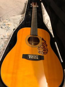 Tanglewood Sundance Historic 12 string