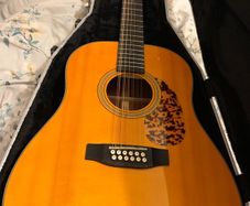 Tanglewood Sundance Historic 12 string